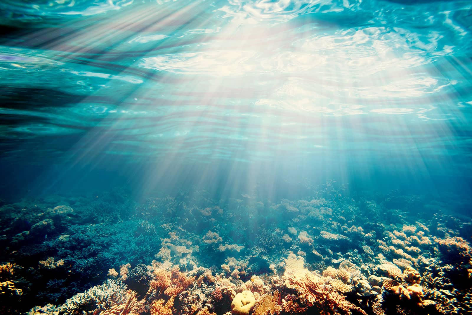 Best Underwater Drones